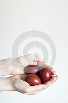 Unrecognizable women hand holding up three eggs. Knocking a red Easter egg. Old holiday tradition.  on white background.