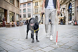 Unrecognizable young blind man with white cane and guide dog in city.