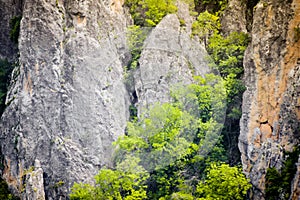 Unrecognized birds fly in eagle valley in Dedoplitskaro. Georgia. Kakheti southern region