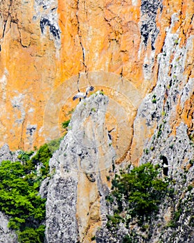 Unrecognized birds fly in eagle valley in Dedoplitskaro. Georgia. Kakheti southern region