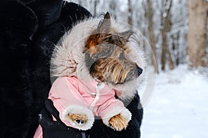 Unrecognized woman holds her dressed dog in her arms in winter outdoors on walk