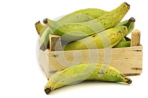 Unripe baking bananas (plantain bananas) photo