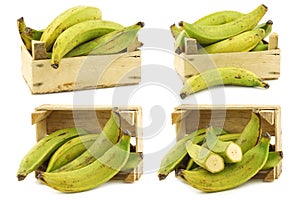 Unripe baking bananas plantain bananas and a cut one  in a wooden crate