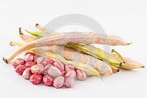 Unripe common beans Phaseolus vulgaris