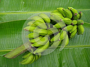 unripe green banana on banana leaf, close-up view