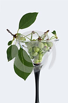 Unripe green cherry glass