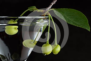 Unripe green cherry in martini glass