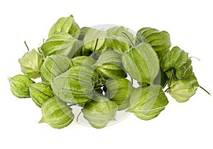 Unripe green physalis fruit on white background