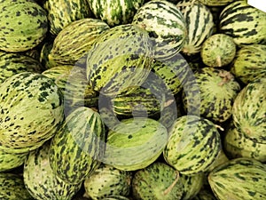 Unripe melons several for pickle in sale for
