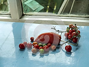 unripe multicolored tomatoes ripen on the windowsill