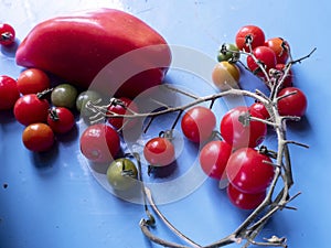 unripe multicolored tomatoes ripen on the windowsill