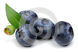 Unripe and ripe blueberries with leaves isolated