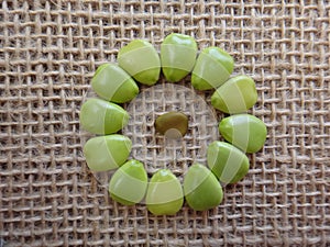 Unripe seeds of flowerfence - Circle design photo