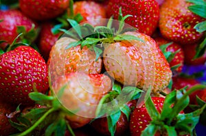 Unripe strawberry