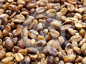 Unroasted coffee beans