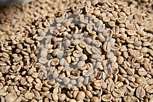 Unroasted coffee beans