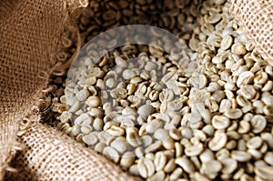 Unroasted coffee beans