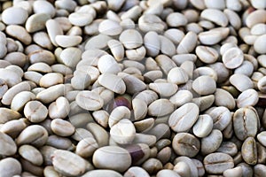 Unroasted coffee beans