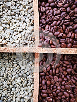 Unroasted and roasted coffee beans