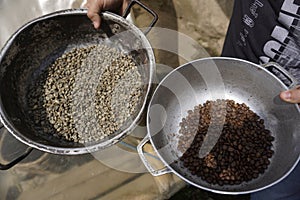 Unroasted versus roasted coffee beans shown on a coffee farm close to Salento, Eje Cafetero, Colombia photo