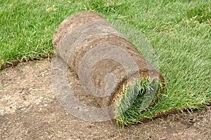 Unrolling Sod photo