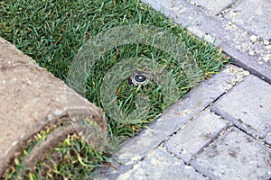 Unrolling Sod for a New Lawn