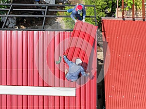 Unsafe construction of workers while construction worker install new metal roofing job