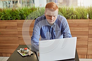 An unsatisfied young businessman with red hair and stylish haircut having lunch break in modern cafe eating sushi and working at h