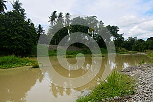 Unscraped portion in Bulatukan river, New Clarin, Bansalan, Davao del Sur, Philippines. photo