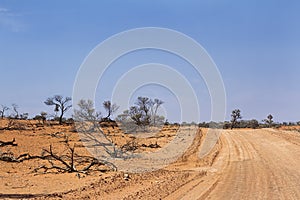 Unsealed desert road in South Australia