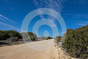 Unsealed Loop Road campground area, Coorong National Park in Sou