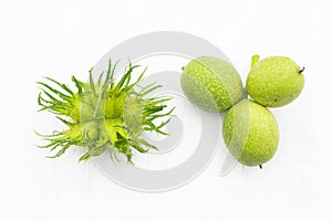 Unseasoned green filberts and walnuts nuts over white and green background