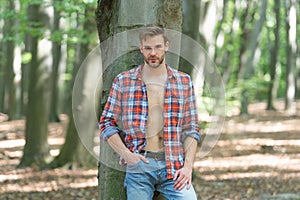 Unshaven lumbersexual man in unbuttoned lumberjack shirt standing at tree forest background