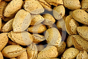 Unshelled Almonds