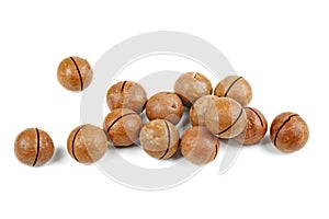 Unshelled macadamia nuts on white
