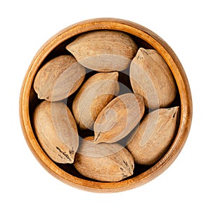 Unshelled pecan nuts, whole pecans, in a wooden bowl