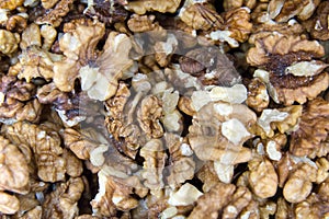 Unshelled walnuts. Background of fresh walnuts.