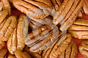 Unshelled whole tasty pecan nuts.