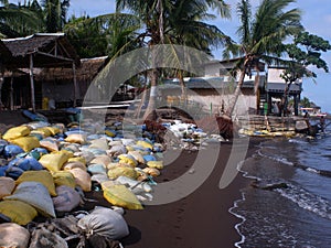 Unsightly sandbags we laid along the seashore resort houses to keep them from further inundation caused by strong ocean waves of t