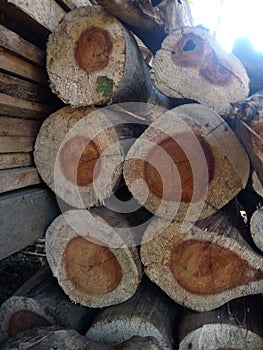 unsplit pile of wood stored behind the house