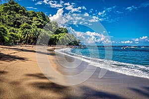 Unspoiled beach on Cano Island, Corcovado National Park, Costa Rica, Central America