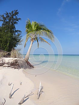Unspoiled Beach photo