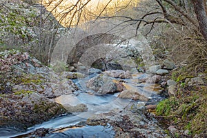 An unspoiled eco habitat at the Riera Major