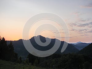 Unsurpassed landscapes of beech forests on the slopes of the Transcarpathian hills of Tyachiv region.