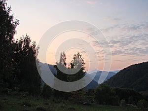 Unsurpassed landscapes of beech forests on the slopes of the Transcarpathian hills of Tyachiv region.