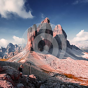 Unsurpassed sunrise in the Dolomites Alps.Famouse mountain range with flowers, Tre cime di Lavaredo peak between colorful clouds