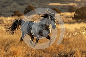 Untamed Riderless mustang horse. Generate ai