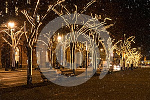 Unter den linden at christmas time