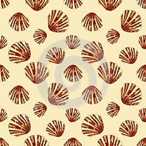 Semirealistic pattern of shell .Hand-drawn shell pattern. Shell isolated pattern for background.