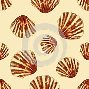 Semirealistic pattern of shell .Hand-drawn shell pattern. Shell isolated pattern for background.
